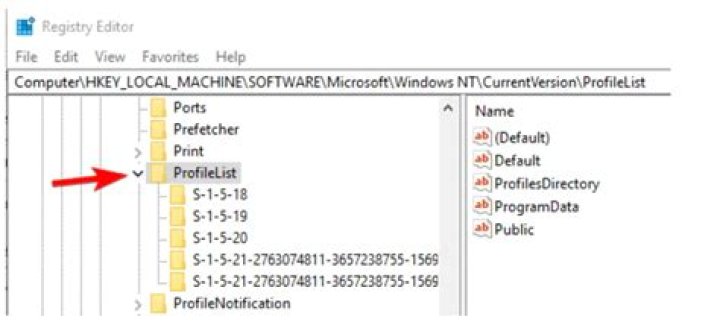 profile list profilelist key Windows 10 can't sign in with Microsoft account something went wrong
