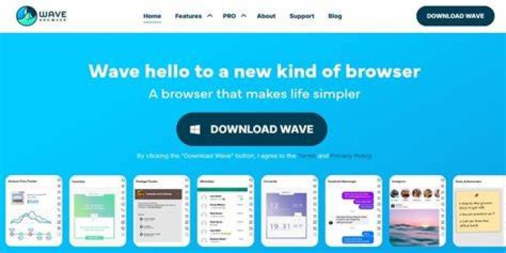 programs what is wave browser