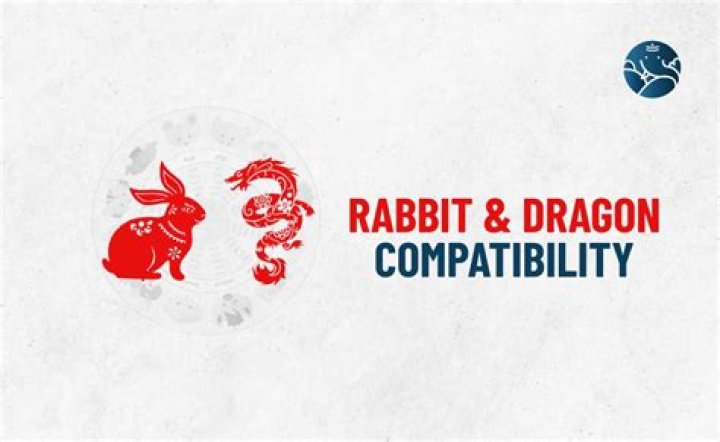 rabbit dragon compatibility