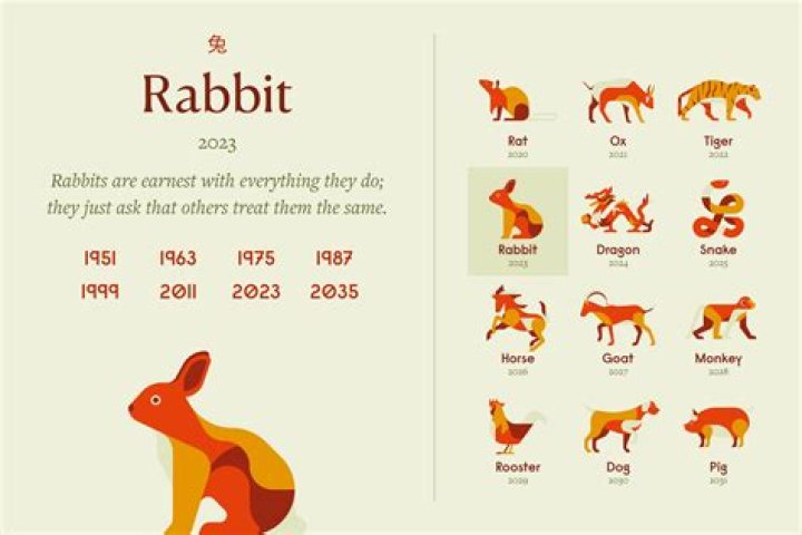 Rabbit Monkey Compatibility. The Rabbit Monkey relationship will be one with much potential for hostility - on both sides.