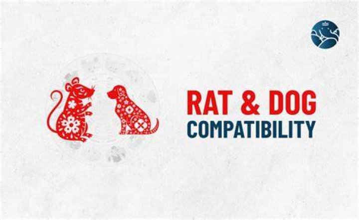 rat dog compatibility