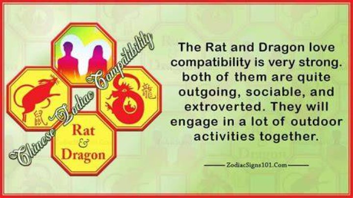 rat dragon compatibility
