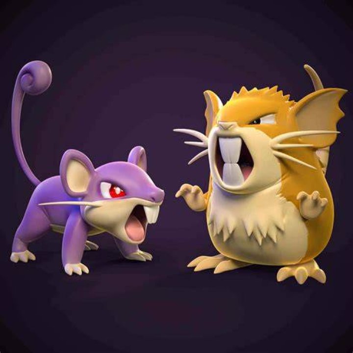 Rattata