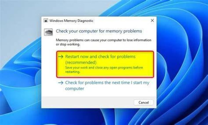 Restart now and check for problems