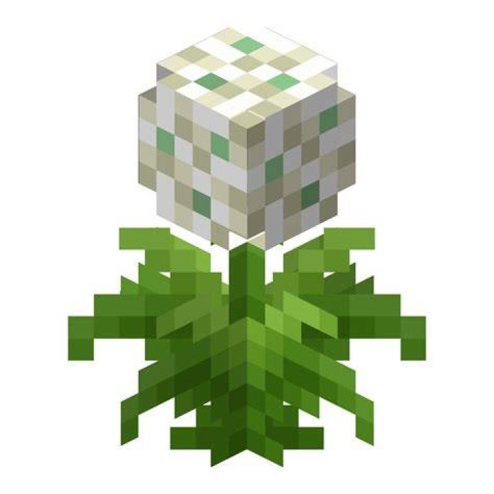 Revival Herb