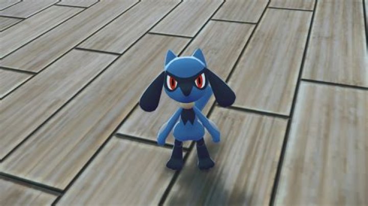 Riolu
