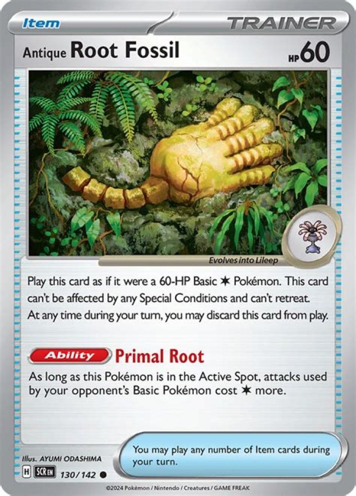 Root Fossil
