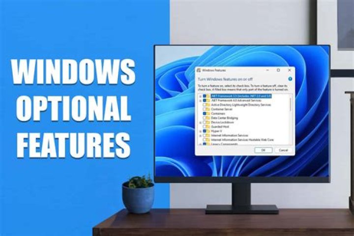 Running Windows Features