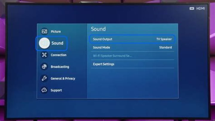 Samsung Dual Audio Galaxy S10e smartphone Galaxy Buds Shure AOJNIC 501 Samsung Dual Audio outputting from a Samsung Galaxy S10e smartphone to the Galaxy Buds Plus and Shure AOJNIC 50.