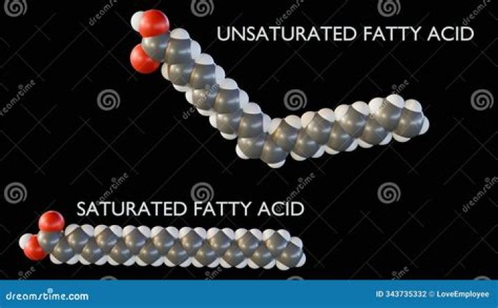 Saturated and unsaturated fatty acid