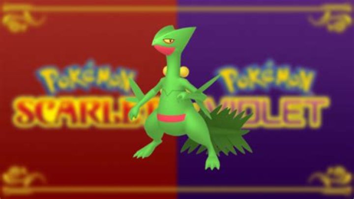 Sceptile 4-2-015 b.png