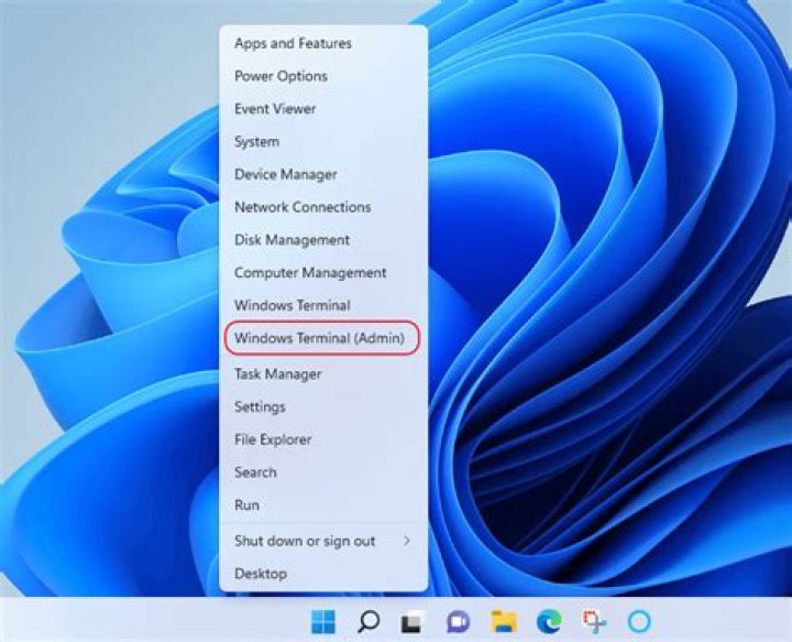 select Windows terminal (Admin)