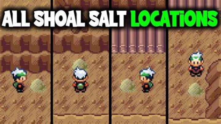 Shoal Salt