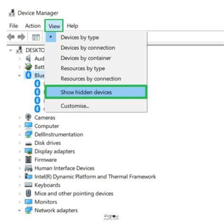 Show hidden devices in Device Manager