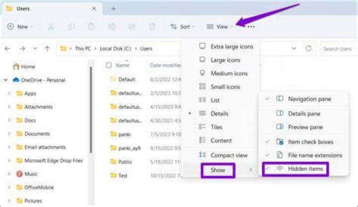 show hidden items show hidden items user profile service failed logon