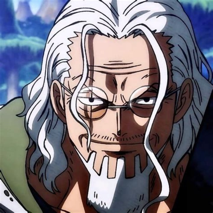 Silvers Rayleigh: One Piece character profile