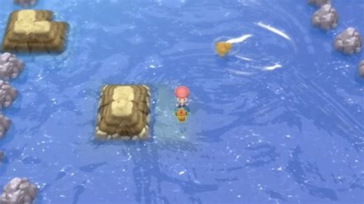 Sinnoh Route 223