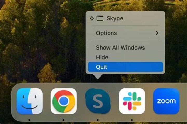 Skype doesn't recognize sign in details