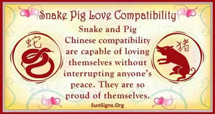 Snake And Pig Compatibility: Go Team!