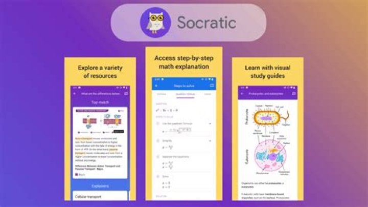 Socratic by Google screenshot 2020 2 Socratic by Google screenshot 2020 2