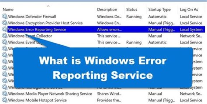 software update microsoft error reporting mac