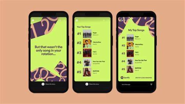 spotify wrapped 2021 1