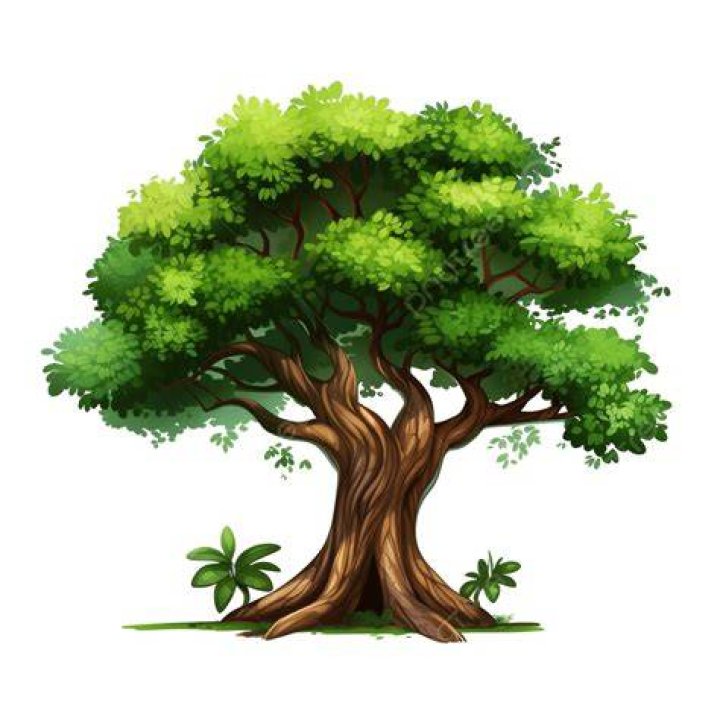 Sprite DP Honey Tree.png