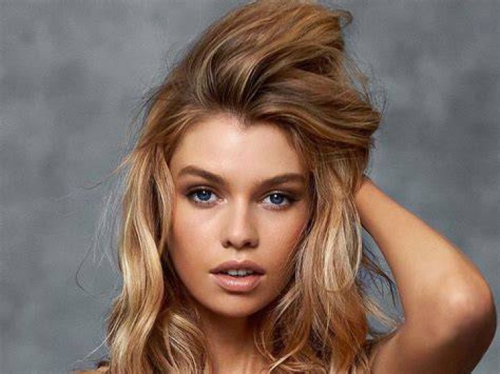 stella maxwell Victoria's Secret Fashion Show 2014