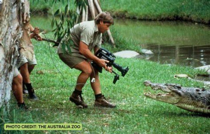 Steve Irwin on TV