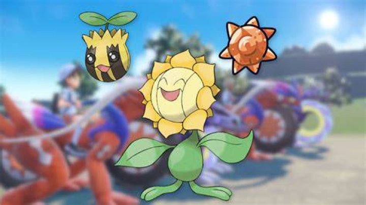 Sunkern