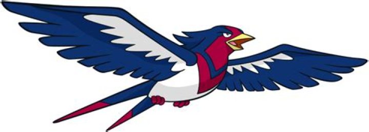 Swellow