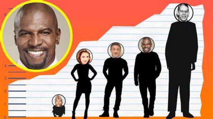 Terry Crews Height – How Tall is Terry?