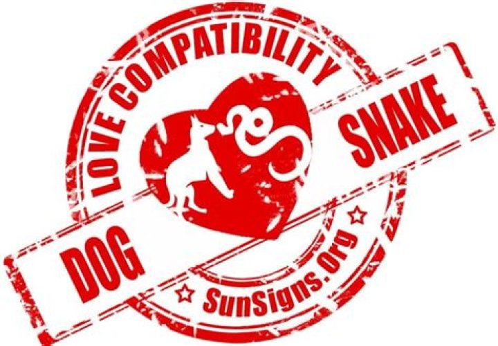 The Dog and Snake relationship can work out if both can make some adjustments to their lifestyle.