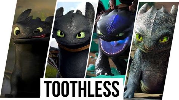 These 9 Toothless Pets are the Cutest Things You'll See All Day Freak