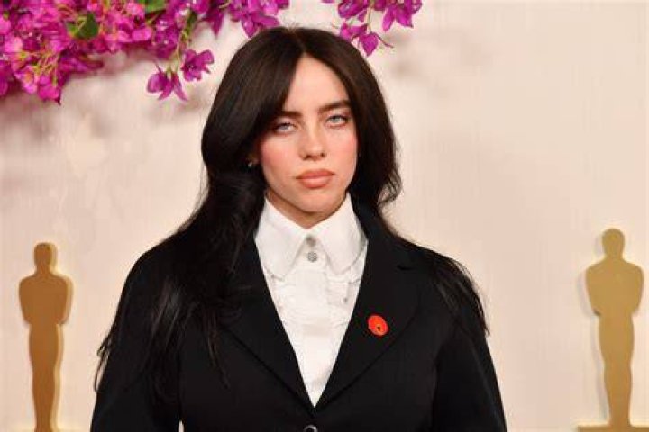 They made Billie Eilish look like a trans!