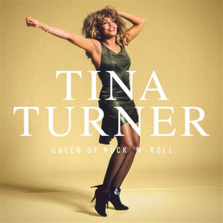 Tina Turner's Leg-Baring Dress/Leotard Hybrid Tina Turner's Leg-Baring Dress/Leotard Hybrid