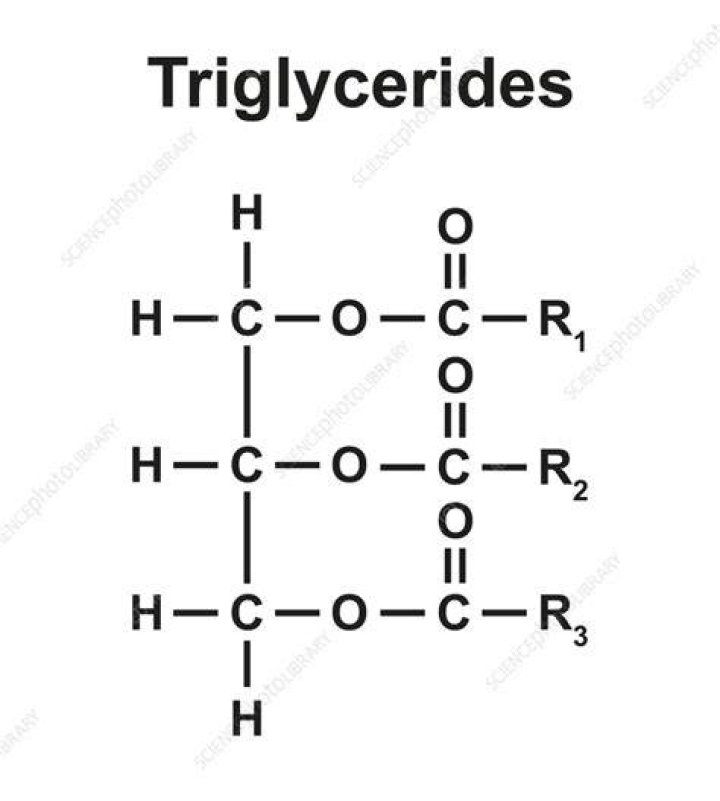 triglyceride