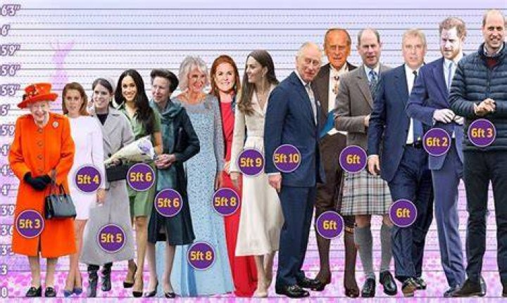 Understanding Prince Height Ft: A Comprehensive Guide