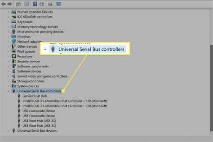 Universal Serial Bus controllers
