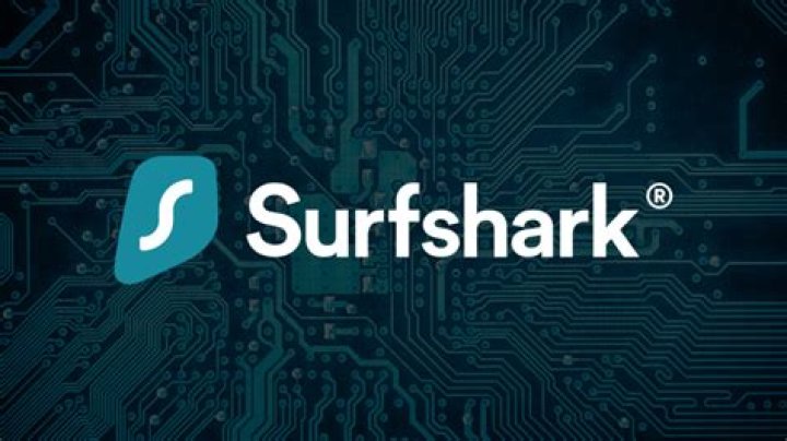 use Surfshark to play Craftopia