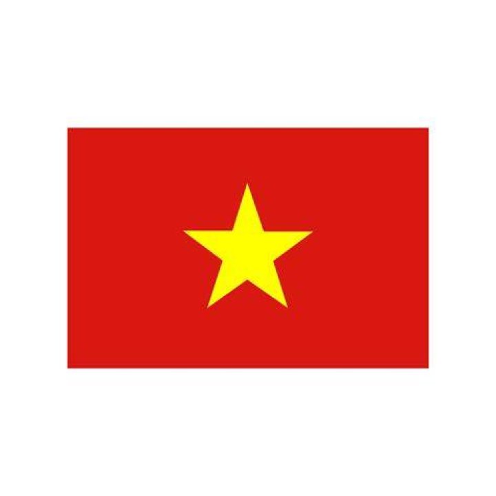 Vietnam Flag.png