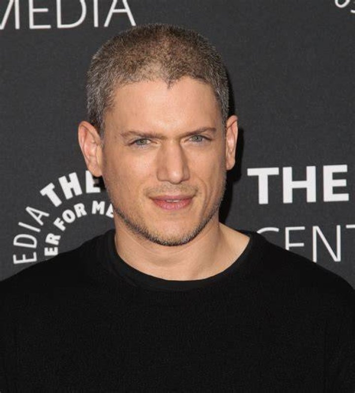 Wentworth Miller Talks About Mental Health Struggles POPSUGAR Celebrity