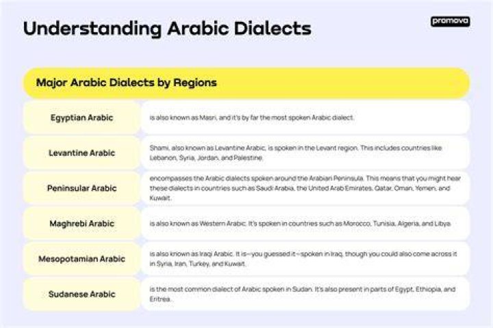 What Dialect Of Arabic Does Duolingo Teach
