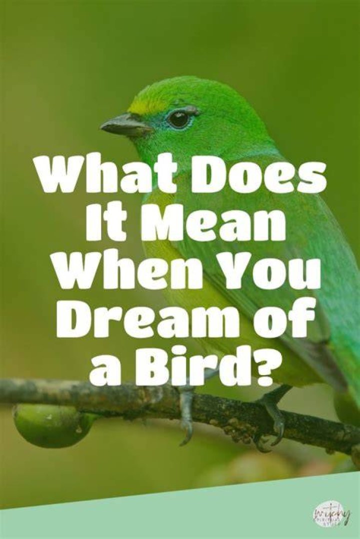 What does it mean to dream about Bird