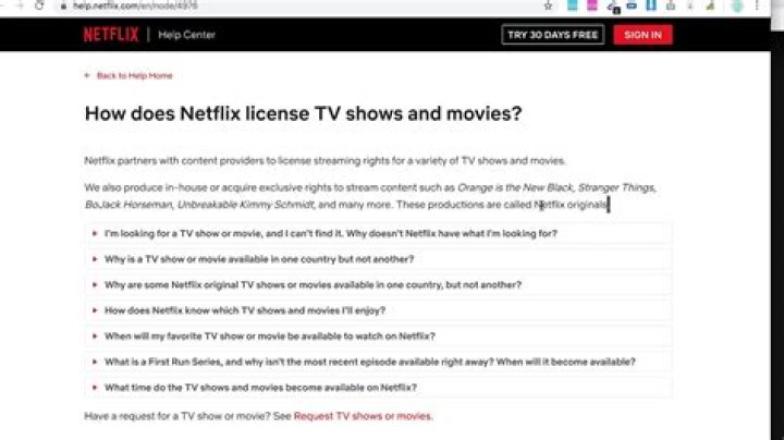 What Does Netflix Original Mean