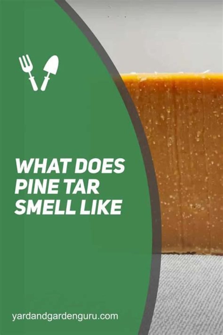What Does Pine Tar Smell Like