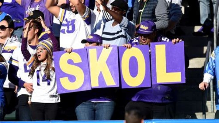 What Does Skol Mean