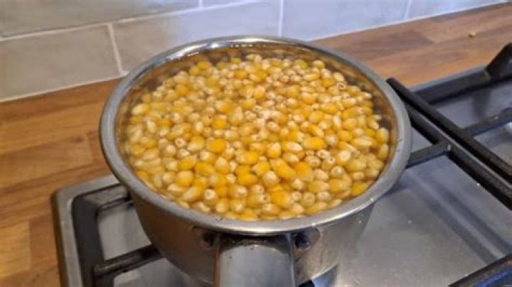 What Happens When You Boil Popcorn Kernels