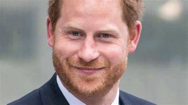 What Languages Can Prince Harry Speak?