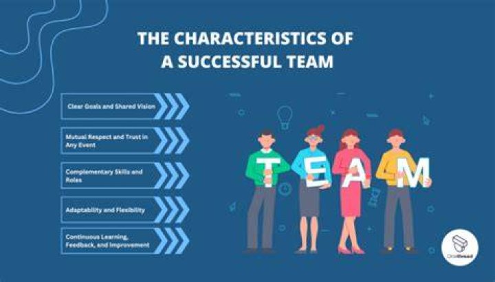 What Makes A Successful Team